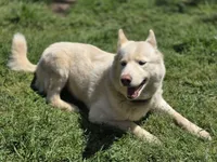 processed/86e26fb0-c760-44cf-8296-77418c551a88/listing/fde97181-3031-4336-96b7-f78886522e9e/51829b99-9733-4374-8452-ffe0cafe6072