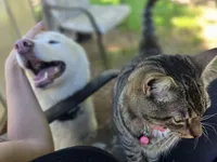 processed/86e26fb0-c760-44cf-8296-77418c551a88/listing/fde97181-3031-4336-96b7-f78886522e9e/692bb929-e68c-4dc2-9a5a-0a65daaec539