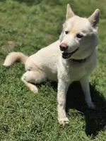 processed/86e26fb0-c760-44cf-8296-77418c551a88/listing/fde97181-3031-4336-96b7-f78886522e9e/a50e9018-bcaa-42f5-a447-3f5128407654