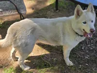 processed/86e26fb0-c760-44cf-8296-77418c551a88/listing/fde97181-3031-4336-96b7-f78886522e9e/b2aa42e1-98d6-4baf-a99e-c796945d2e3a