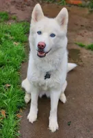 processed/86e26fb0-c760-44cf-8296-77418c551a88/listing/fde97181-3031-4336-96b7-f78886522e9e/d1de64cd-7209-41ed-8bc9-023610f56645