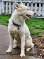 processed/86e26fb0-c760-44cf-8296-77418c551a88/listing/fde97181-3031-4336-96b7-f78886522e9e/df1207e1-8870-44c3-a82a-ae656e991671