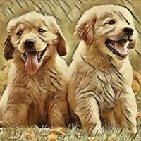 processed/86e54895-6888-46f7-a30b-da7bbafe7b38/facility/327397e1-6c24-4a3d-ac5d-d3dfb6377751