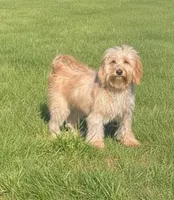 processed/86e54895-6888-46f7-a30b-da7bbafe7b38/listing/d90360ae-e667-4413-999b-f7fe868f7d66/d9bf846e-89be-4bbd-adbf-3b43fd1e9d97