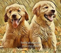 processed/86e54895-6888-46f7-a30b-da7bbafe7b38/listing/d90360ae-e667-4413-999b-f7fe868f7d66/e844bba1-5ff3-4d08-9c56-bb4e117ddd4c