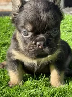 processed/86eb0f51-e208-4e37-9ebb-c96d022f4c39/listing/1d7bb3d7-ca2d-4462-9e9a-2895abacf28f/0897c63c-dfa7-47fc-a8ef-086ab4899259