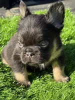 processed/86eb0f51-e208-4e37-9ebb-c96d022f4c39/listing/1d7bb3d7-ca2d-4462-9e9a-2895abacf28f/3074e944-1a38-4d2e-9314-45f7a292efff