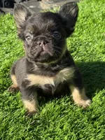 processed/86eb0f51-e208-4e37-9ebb-c96d022f4c39/listing/1d7bb3d7-ca2d-4462-9e9a-2895abacf28f/de90134f-39d0-4416-ab90-81a2a1e97a14