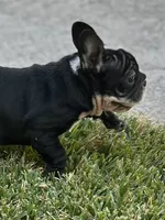 processed/86eb0f51-e208-4e37-9ebb-c96d022f4c39/listing/9d5efead-7469-4b8d-acd0-7ca6b2f25627/e3a61384-5fae-4ca5-80a4-5e10b18111d5