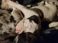 processed/86ec5ff2-464a-4385-8535-2c6bc17e8be5/listing/4b8d77c9-8630-473b-9b0f-c307584af07a/2d8975b7-5045-469a-8c44-1b3142038c36