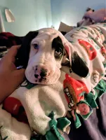 processed/86ec5ff2-464a-4385-8535-2c6bc17e8be5/listing/4b8d77c9-8630-473b-9b0f-c307584af07a/37157b67-1d66-46e9-bb0c-d3c16e81ca28