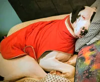 processed/86ec5ff2-464a-4385-8535-2c6bc17e8be5/listing/4b8d77c9-8630-473b-9b0f-c307584af07a/c8ae3199-0c46-4117-a703-ac8fa17d2b5f