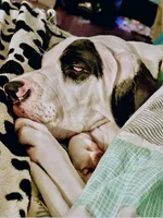 processed/86ec5ff2-464a-4385-8535-2c6bc17e8be5/listing/4b8d77c9-8630-473b-9b0f-c307584af07a/df295435-79ab-4b7f-abb3-2697d8584f9f