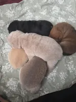 Shar Pei, a male Chinese Shar-Pei for sale in Byron, NY – 2 of 5