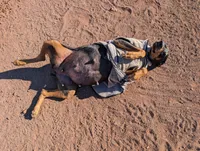 processed/86fd5832-d5e7-49a5-b39d-4872c1e11944/facility/157c71e3-3f90-4f7c-b8dd-e0b33a5477b4