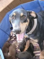 processed/86fd5832-d5e7-49a5-b39d-4872c1e11944/facility/6a7a95e1-a65e-4335-b72d-8c21d903dc0c