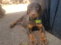 processed/86fd5832-d5e7-49a5-b39d-4872c1e11944/facility/74a347d9-4c9a-448a-8eff-cf414906f149