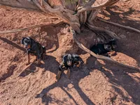 processed/86fd5832-d5e7-49a5-b39d-4872c1e11944/facility/7f20e400-9f29-498e-883a-b85a4e557539