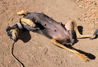 processed/86fd5832-d5e7-49a5-b39d-4872c1e11944/facility/c4ee176b-022c-4577-b349-46ff40b9af2d