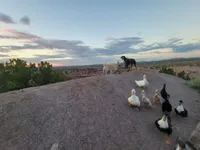 processed/86fd5832-d5e7-49a5-b39d-4872c1e11944/facility/d788c090-f3c8-4e11-97cb-90463cddcd3b