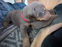 processed/86fd5832-d5e7-49a5-b39d-4872c1e11944/listing/8de8c65c-6b08-48fb-949b-8d20df25cf60/2637013b-e189-476f-9edd-d4008cc43069