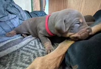 processed/86fd5832-d5e7-49a5-b39d-4872c1e11944/listing/8de8c65c-6b08-48fb-949b-8d20df25cf60/3c188e9d-6877-4650-b3b0-f8246db06f75