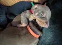 processed/86fd5832-d5e7-49a5-b39d-4872c1e11944/listing/8de8c65c-6b08-48fb-949b-8d20df25cf60/5d039415-5761-42ef-b7f0-59982e979761