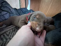 processed/86fd5832-d5e7-49a5-b39d-4872c1e11944/listing/8de8c65c-6b08-48fb-949b-8d20df25cf60/f7dc5343-28e4-4a2e-b683-6ded7440fd68