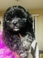 processed/86ff8a11-4ccb-4e45-8fd6-b2d1b1d3cc20/listing/4b66bbd8-c318-43a3-b6ec-504055f111fc/16427c07-4a42-469e-b196-6dc374a6c72a