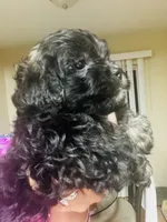 processed/86ff8a11-4ccb-4e45-8fd6-b2d1b1d3cc20/listing/4b66bbd8-c318-43a3-b6ec-504055f111fc/44f32129-729c-4d07-8d94-0d802e928c4c