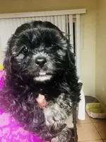 processed/86ff8a11-4ccb-4e45-8fd6-b2d1b1d3cc20/listing/4b66bbd8-c318-43a3-b6ec-504055f111fc/e2f30cd4-4cbf-4374-a724-786f94a19c32