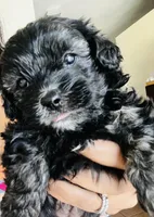 processed/86ff8a11-4ccb-4e45-8fd6-b2d1b1d3cc20/listing/4b66bbd8-c318-43a3-b6ec-504055f111fc/f10e4a53-4acf-470c-99d1-9b5d0db1c084