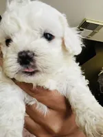 processed/86ff8a11-4ccb-4e45-8fd6-b2d1b1d3cc20/listing/996e2c1d-018b-4871-83c1-a97722e58182/8d0a741b-f75c-4c06-a451-e4e4c3839cfa