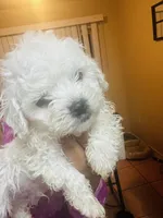 processed/86ff8a11-4ccb-4e45-8fd6-b2d1b1d3cc20/listing/996e2c1d-018b-4871-83c1-a97722e58182/dec86b5e-5259-41a8-aa0e-24e553c91c01