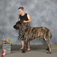 processed/87002120-1c03-4fc2-8f3e-fc97b78aab49/facility/40976f2f-79a7-46bf-b447-8da83d6e44e0