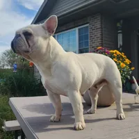 processed/87002120-1c03-4fc2-8f3e-fc97b78aab49/facility/44931225-79ec-443f-93b9-cd4485f9d704