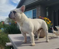 processed/87002120-1c03-4fc2-8f3e-fc97b78aab49/facility/44931225-79ec-443f-93b9-cd4485f9d704