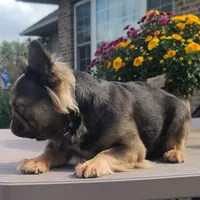 processed/87002120-1c03-4fc2-8f3e-fc97b78aab49/facility/4b8f384f-cc44-4df6-a011-fc4dab8bbc22