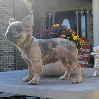 processed/87002120-1c03-4fc2-8f3e-fc97b78aab49/facility/79884db1-6b76-4a8d-89e8-e5b96c9d4b60