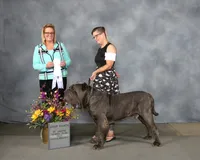 processed/87002120-1c03-4fc2-8f3e-fc97b78aab49/facility/8970881c-93e1-4c13-bf9a-5e6305a6ee1e