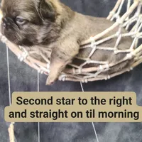 processed/87002120-1c03-4fc2-8f3e-fc97b78aab49/facility/d4c60ae1-1bc2-4c6f-aa8e-3fecd0a921ec