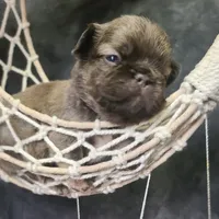 processed/87002120-1c03-4fc2-8f3e-fc97b78aab49/facility/dff0c28f-ae41-41c6-86d5-6eb54ed16d50