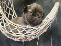 processed/87002120-1c03-4fc2-8f3e-fc97b78aab49/facility/dff0c28f-ae41-41c6-86d5-6eb54ed16d50