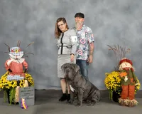 Maeve, a female Neapolitan Mastiff for sale in Cairo, MO – 1 of 1