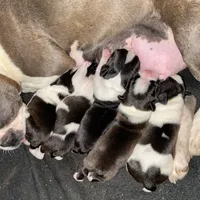 processed/870157c4-2b8a-4bd1-a6da-a4aa47401d41/facility/2eb07430-258f-4f83-8bd9-a1f78b092c09