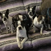 processed/870157c4-2b8a-4bd1-a6da-a4aa47401d41/facility/4b56fac7-4dbb-42a7-9bdd-0f3bbdfafbcf