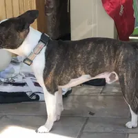 processed/870157c4-2b8a-4bd1-a6da-a4aa47401d41/facility/4c102f73-1576-4c70-bc6a-86862249d7e2