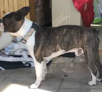 processed/870157c4-2b8a-4bd1-a6da-a4aa47401d41/facility/4c102f73-1576-4c70-bc6a-86862249d7e2