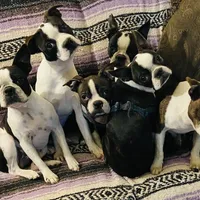 processed/870157c4-2b8a-4bd1-a6da-a4aa47401d41/facility/7aed59e8-3894-41bb-bd83-a5f0f511290c