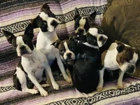 processed/870157c4-2b8a-4bd1-a6da-a4aa47401d41/facility/7aed59e8-3894-41bb-bd83-a5f0f511290c